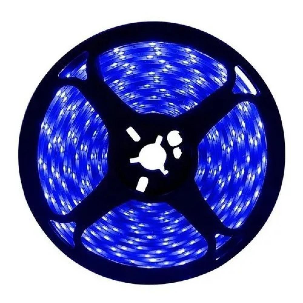 Fita Led Digital Blue 240L 24v IP20 12w 10mm 2200Lu Rolo 5m (Xx)