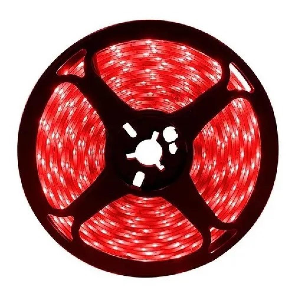 Fita Led Digital Red 240L 24v IP20 12w 10mm 2200Lu Rolo 5m (Xx)