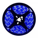 Fita Led Digital Blue 240L 24v IP20 12w 10mm 2200Lu Rolo 5m (Xx)