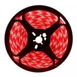Fita Led Digital Red 240L 24v IP20 12w 10mm 2200Lu Rolo 5m (Xx)