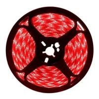 Fita Led Digital Red 240L 24v IP20 12w 10mm 2200Lu Rolo 5m (Xx)