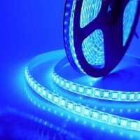 Fita Led Neon Blue 24v IP65 2w xxxxLu Rolo 50 m (Ow)